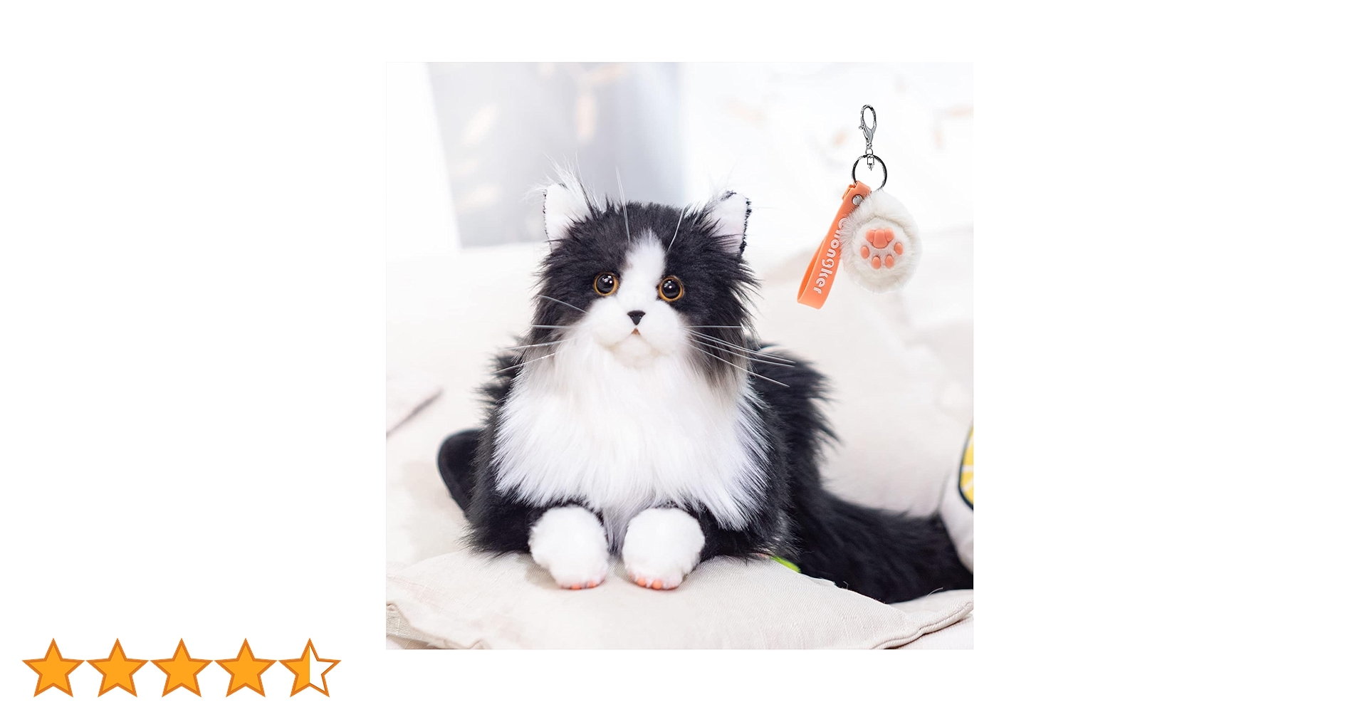 71NLqT-pJqL.jpg_BO30,255,255,